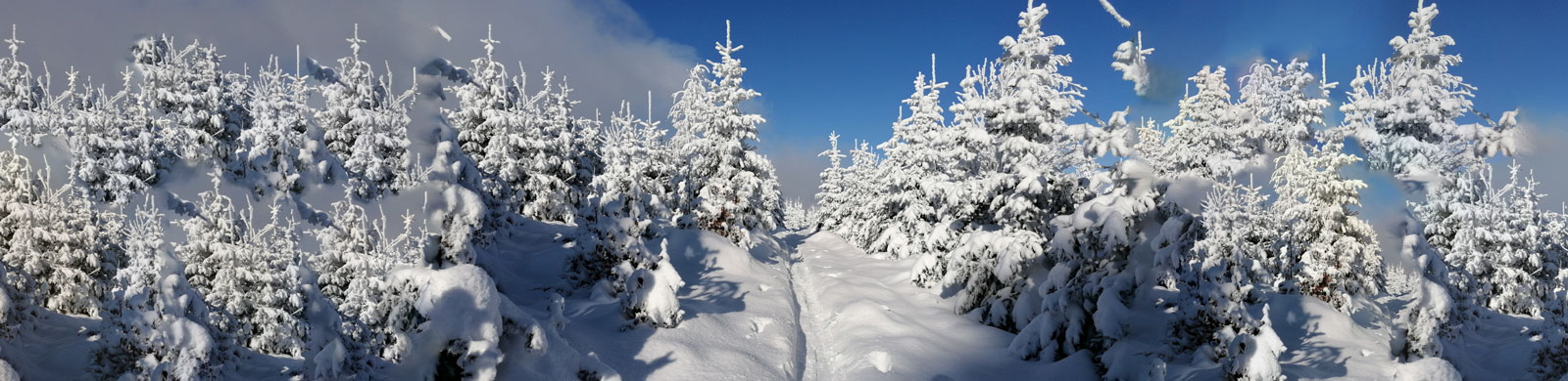2021_Winter