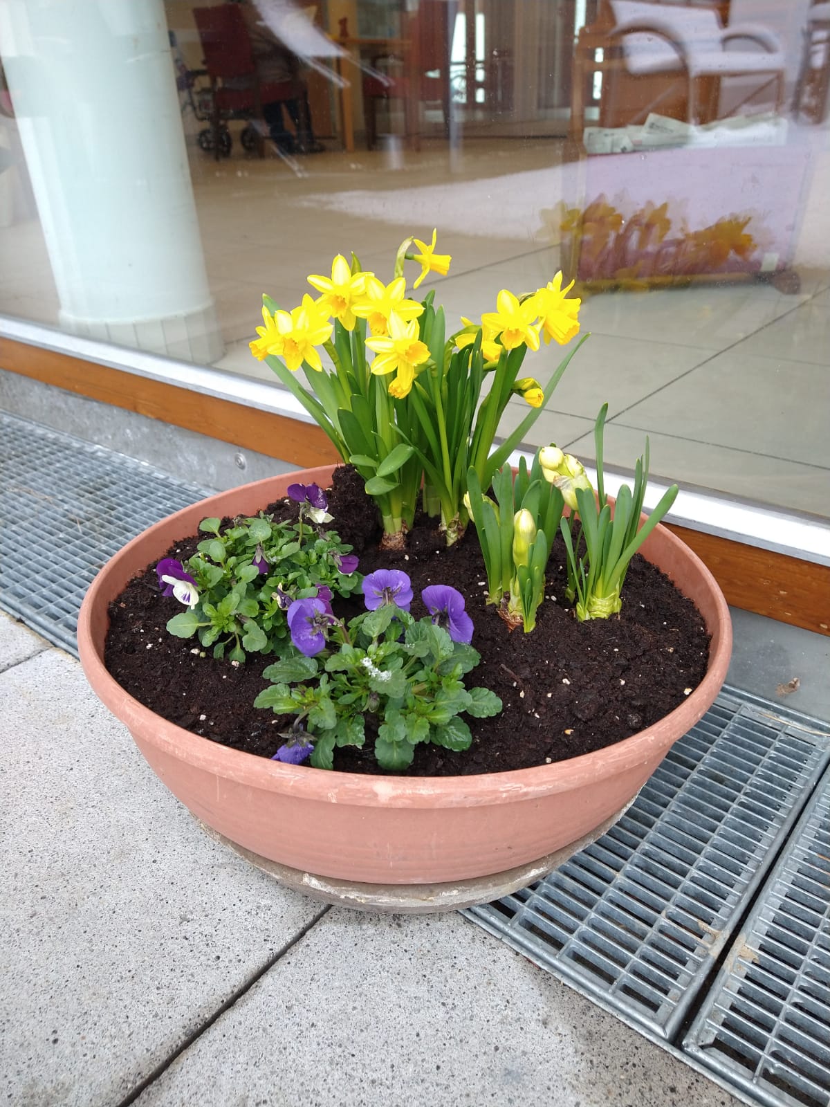 Frühlingsgruß im Chiemgau-Stift