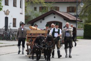 Schon die Lieferung des Maibaums mit einem Pferdewagen war für die Bewohner ein Erlebnis.