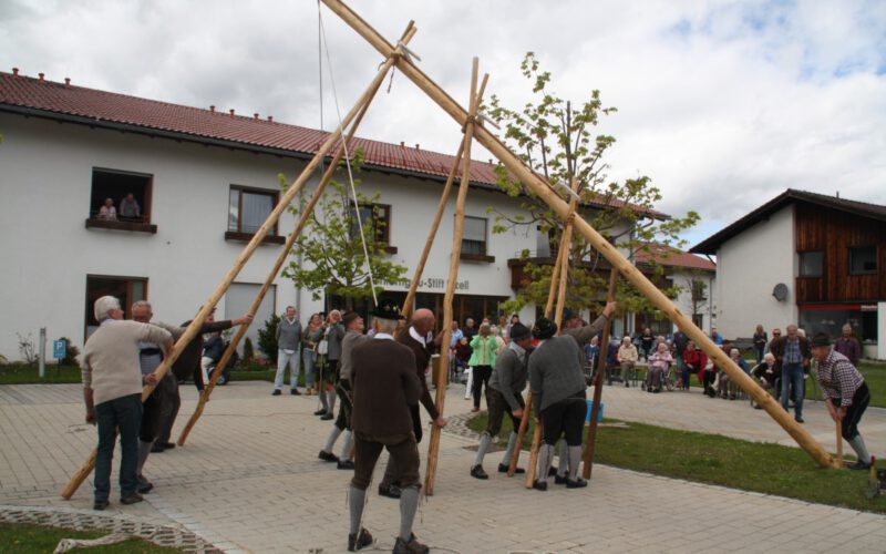 Ganz traditionell wird der Maibaum wird aufgestellt.