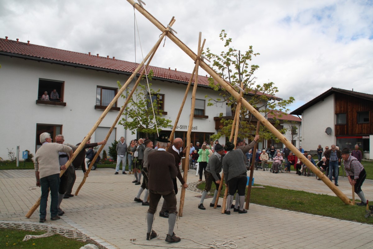 Ganz traditionell wird der Maibaum wird aufgestellt.