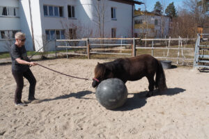 spielerisches Training