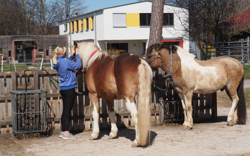 Reittherapie im Wilhelm-Löhe-Heim