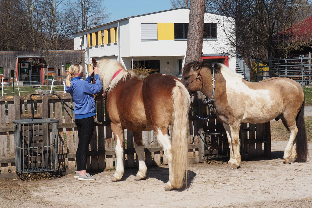 Reittherapie im Wilhelm-Löhe-Heim