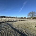 Viel Auslauf haben die Schafe in Schlehberg.