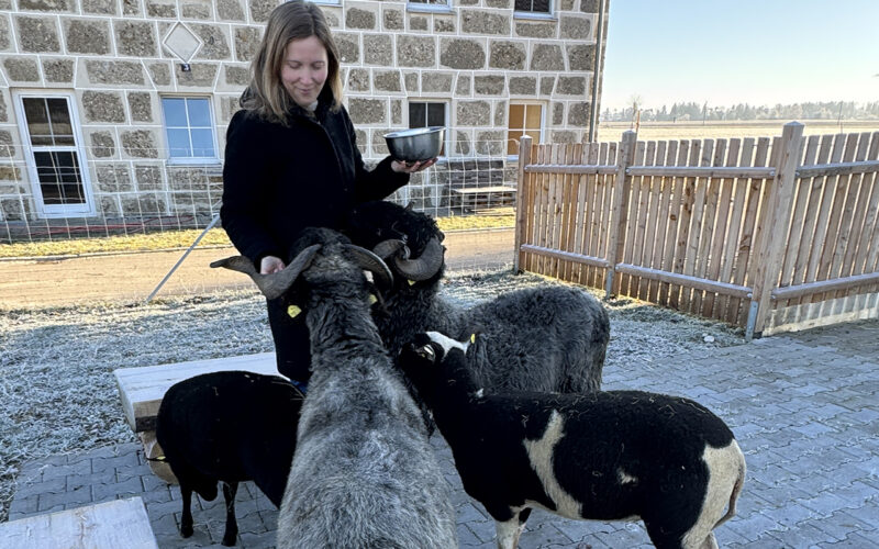 Pädagogin Sarah Matejka bei der morgendlichen Fütterung der Schafe. Der neue Eingangsbereich, das gepflasterte Areal und die Sitzgelegenheit konnten dank der Spende der GlücksSpirale realisiert werden.