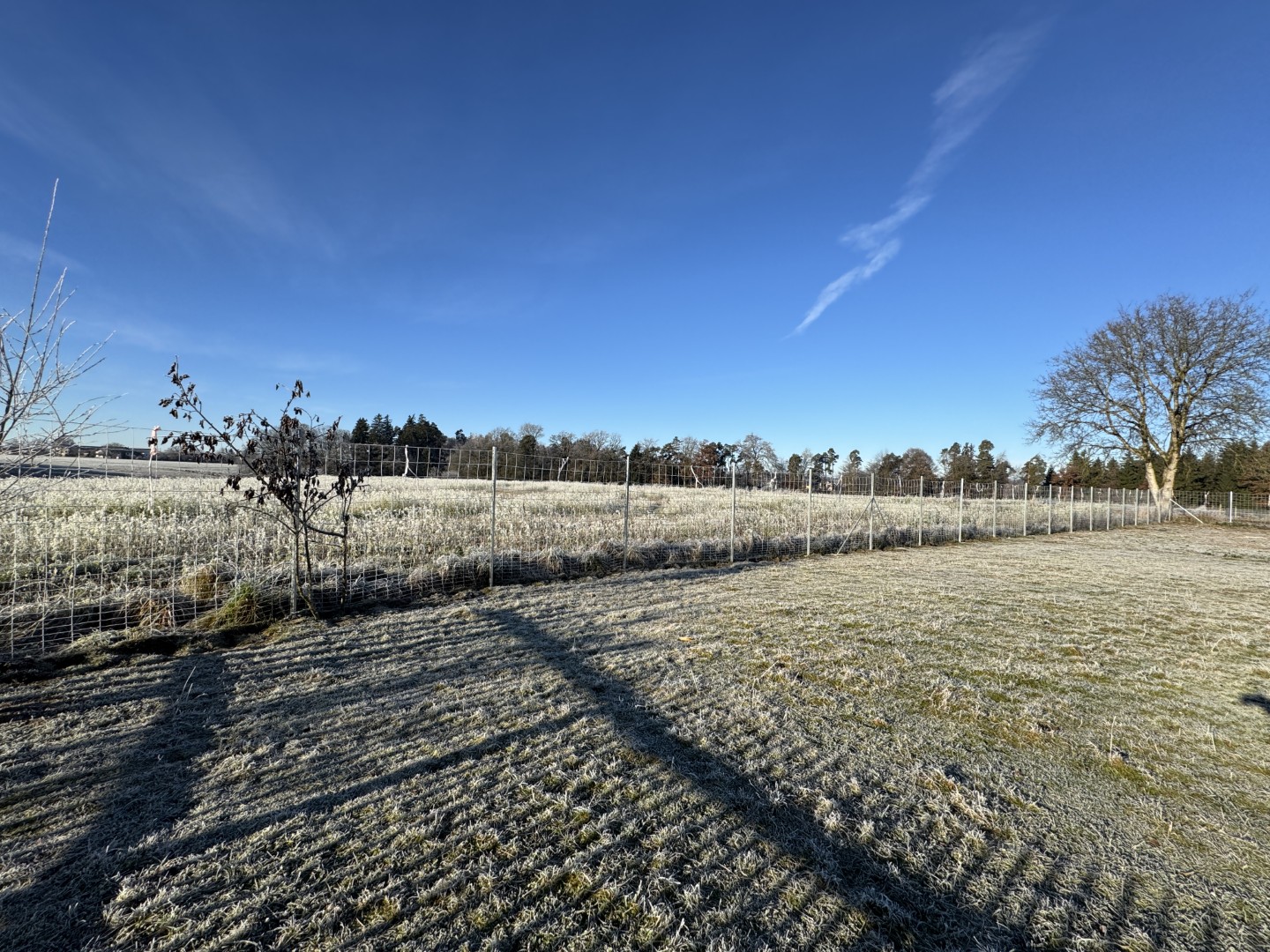 Der neue Zaun rund um den Tierbereich der Mädchenwohngruppen wurde ebenfalls mit Hilfe der Spende angeschafft.