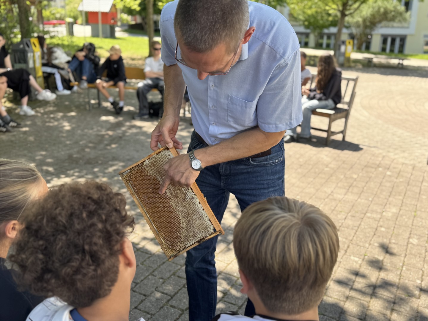 Bienenwoche an der Franz-von-Kohlbrenner-Mittelschule