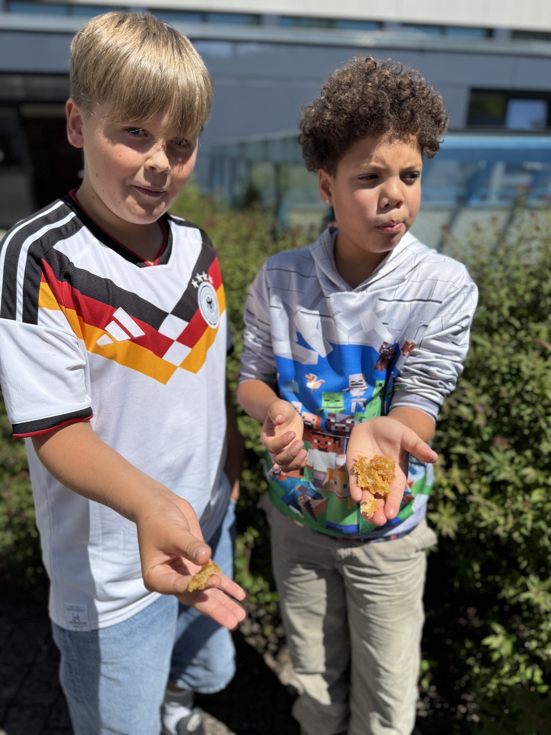 Bienenwoche an der Franz-von-Kohlbrenner-Mittelschule