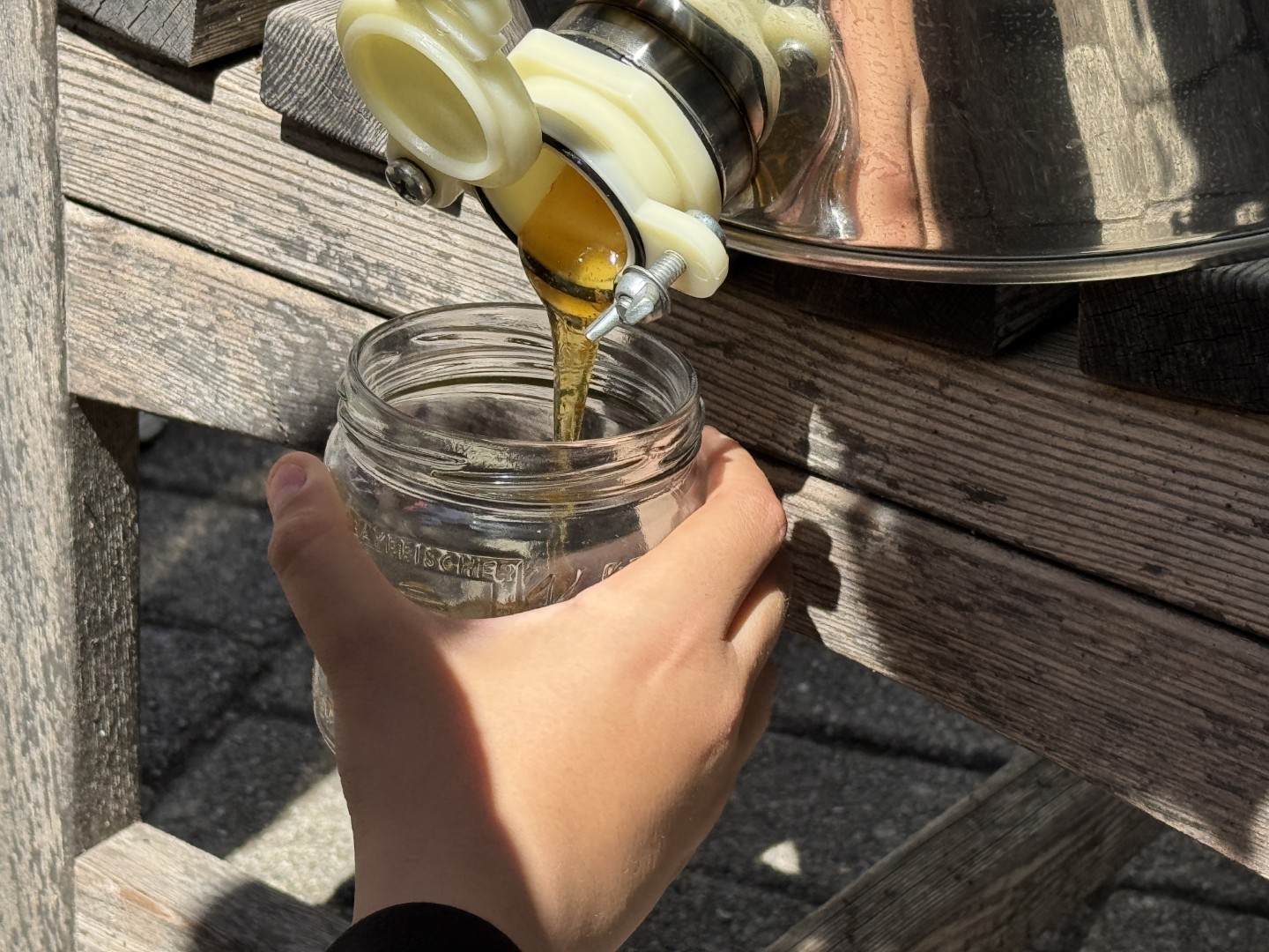 Bienenwoche an der Franz-von-Kohlbrenner-Mittelschule