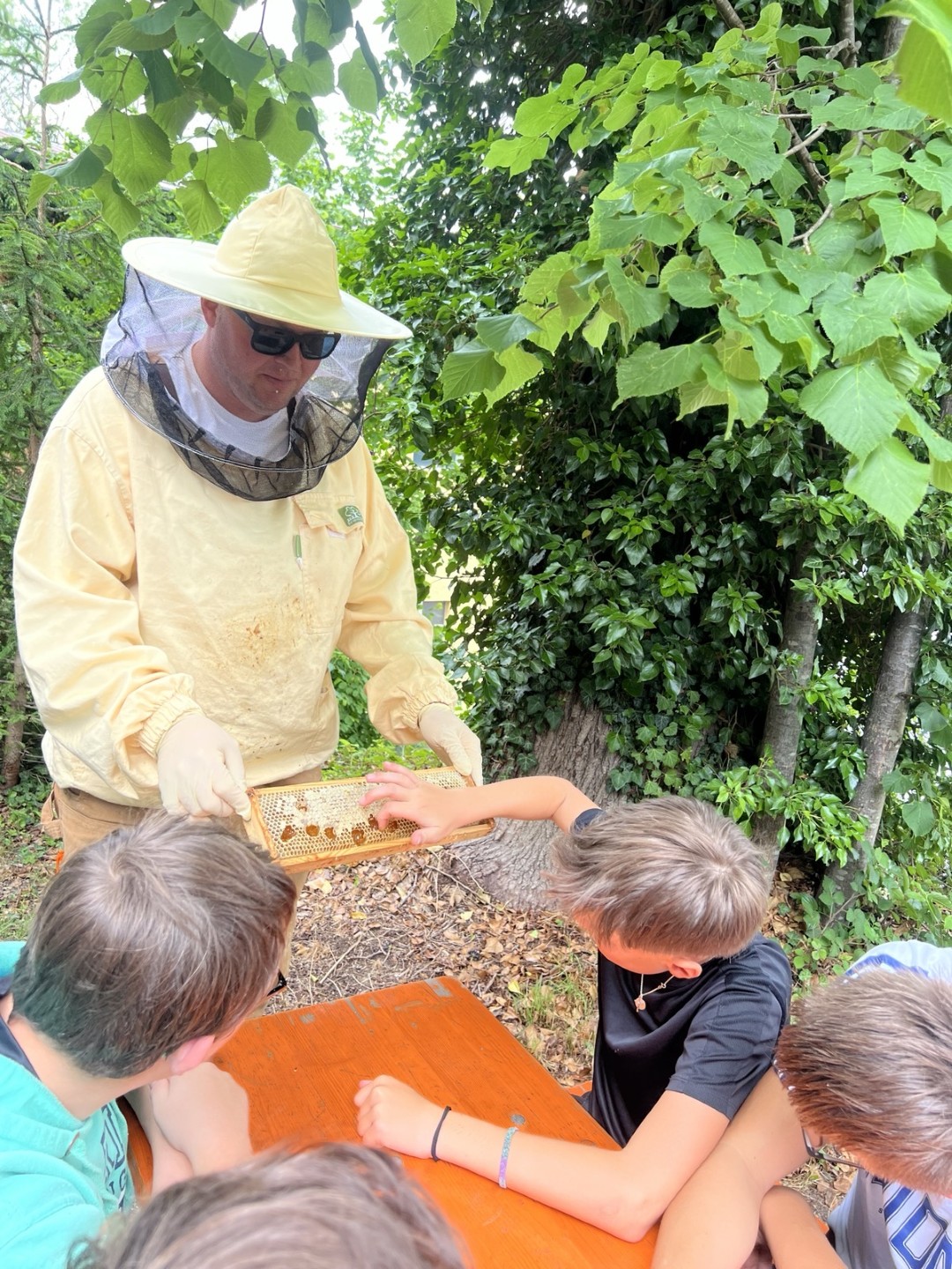 Bienenwoche an der Franz-von-Kohlbrenner-Mittelschule
